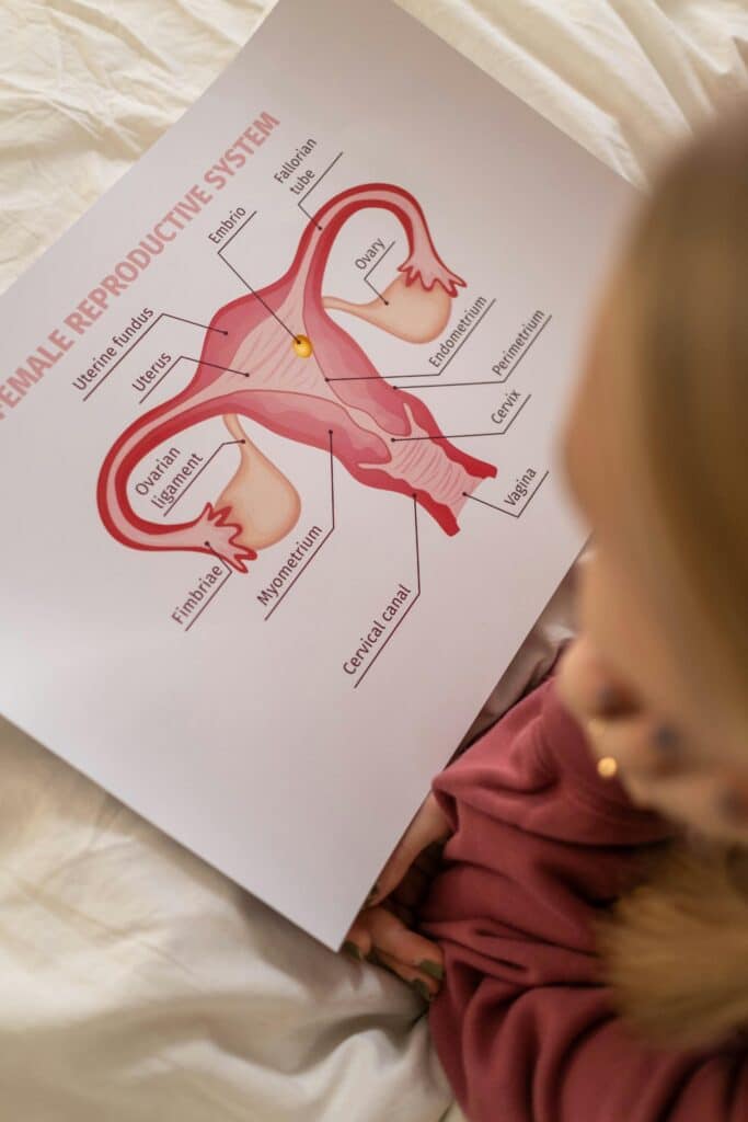 PCOS & Insulin Resistance: Why Many Women Can’t Lose Weight Even When They Try PCOS & Insulin Resistance: Why Many Women Can’t Lose Weight Even When They Try