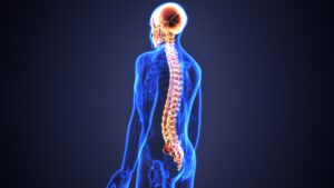Testosterone and Spinal Cord Injury: A Doctor Explains the Hidden Hormonal Changes